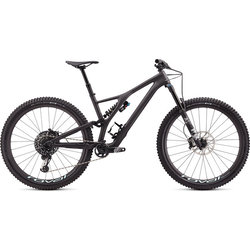 Specialized Stumpjumper EVO Pro 29